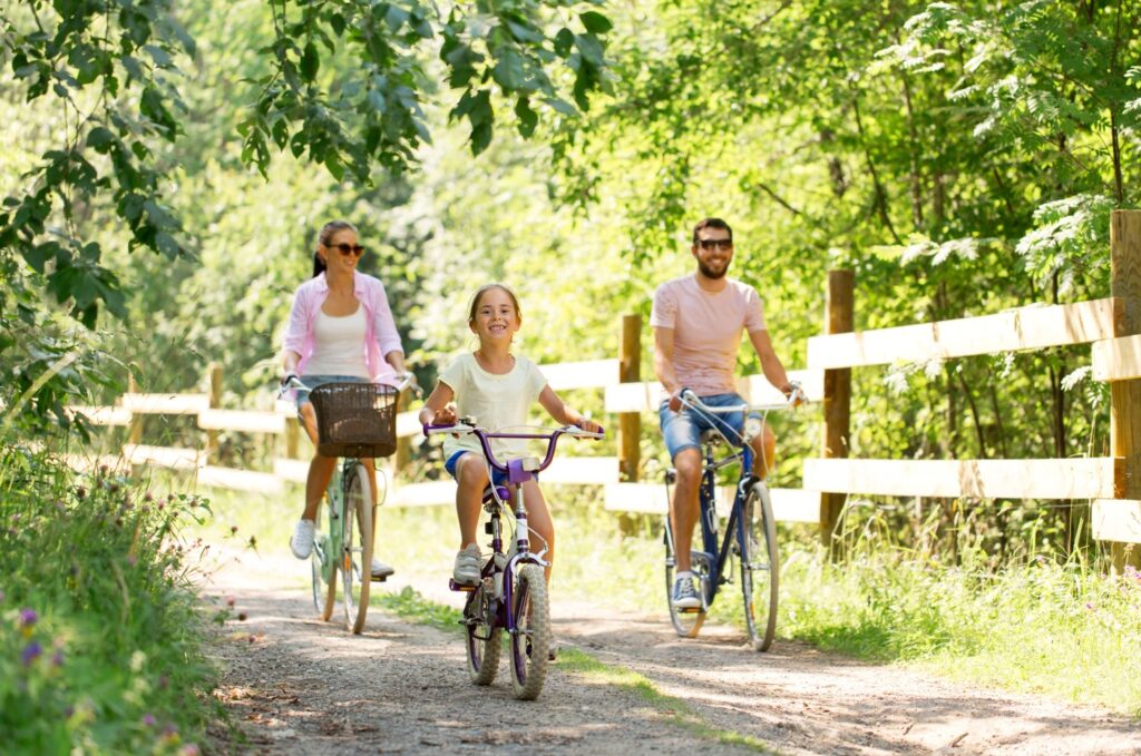 stimuler organisme lorica