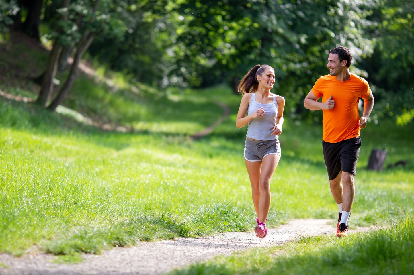 tonugen et ubiquinol vitalite