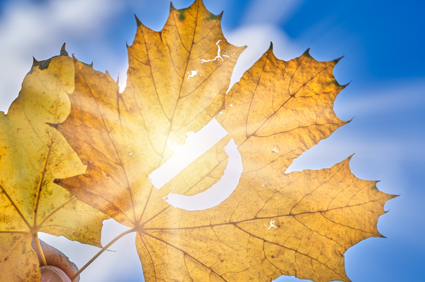 Vitamine D et soleil