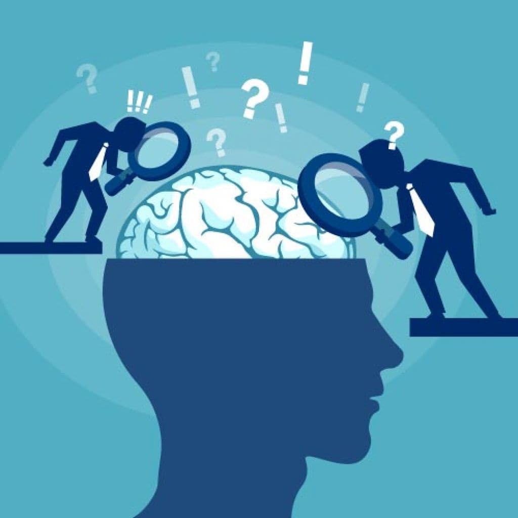 Les fonctions cognitives