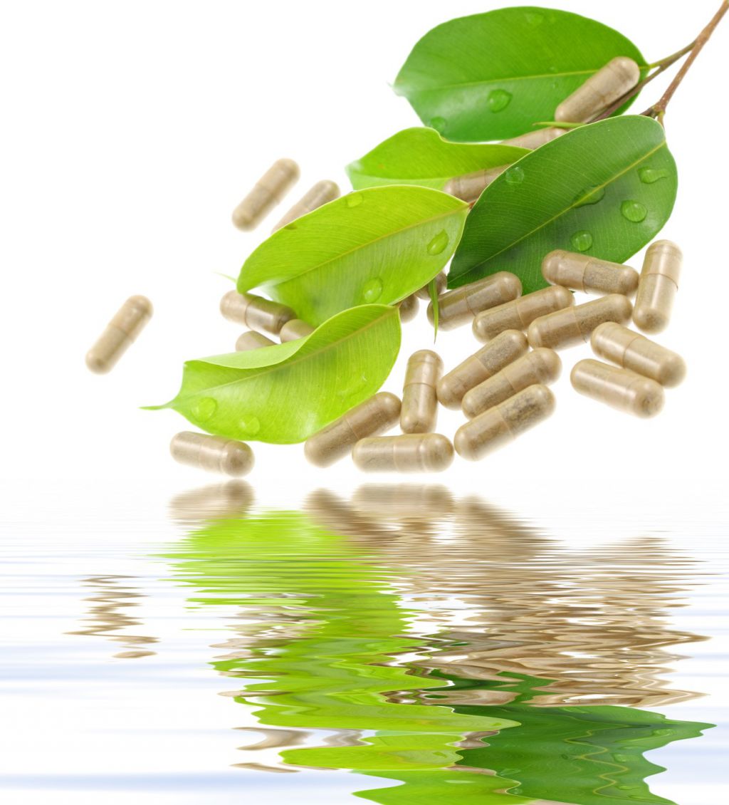 2017 05 29 Micro nutrition Photo7