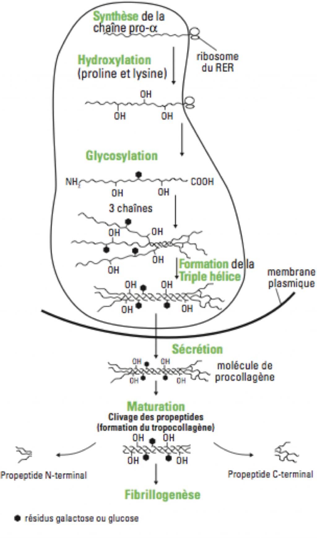 2017 05 29 Recherche et dAveloppement Photo 2