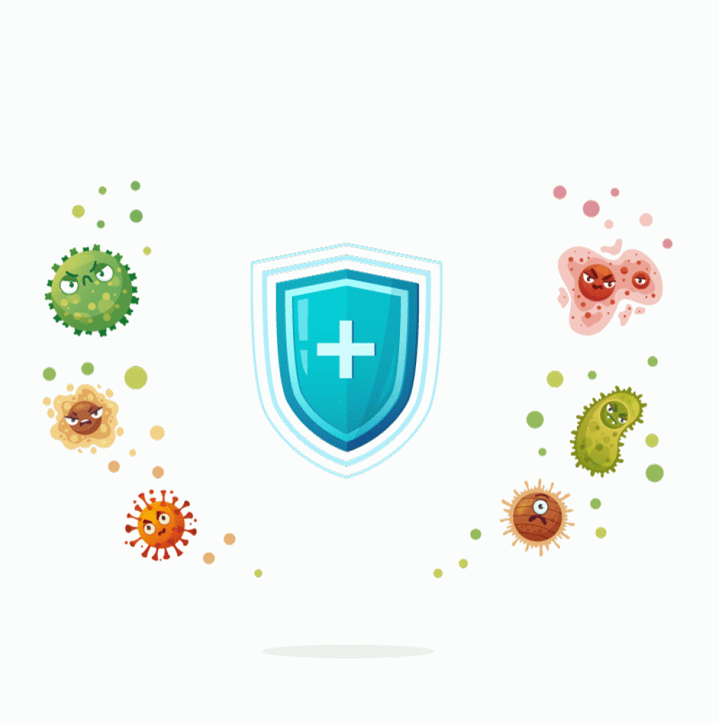 3 Profils immunitaires et pistes d’accompagnement 3 gif bouclier lorica