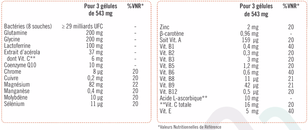 Capture d’écran 2025-04-03 à 13.02.31