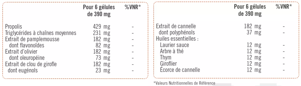 Capture d’écran 2025-04-10 à 10.52.21