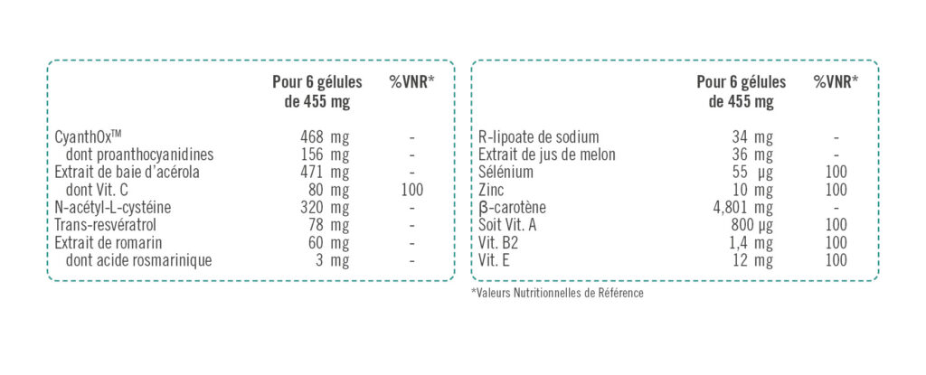 protectum+-vnr-lorica