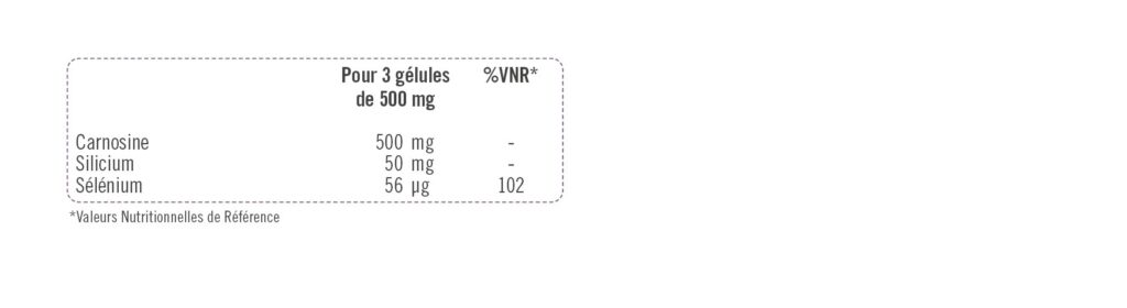 carnosiliciumg-vnr-lorica