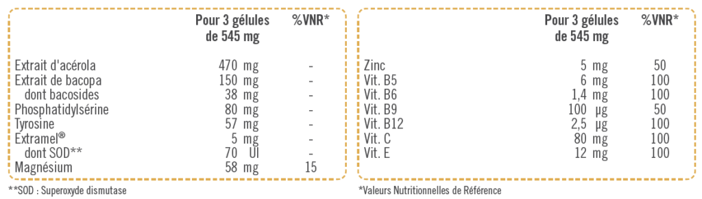 conceptmemoire vnr lorica