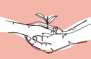 expertise innovation lorica