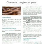 fiche conseil cheveux ongles peau lorica