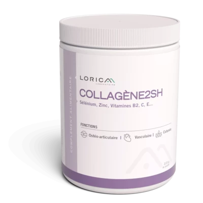 COLLA2_PGP315_V2511A_3Dv2601