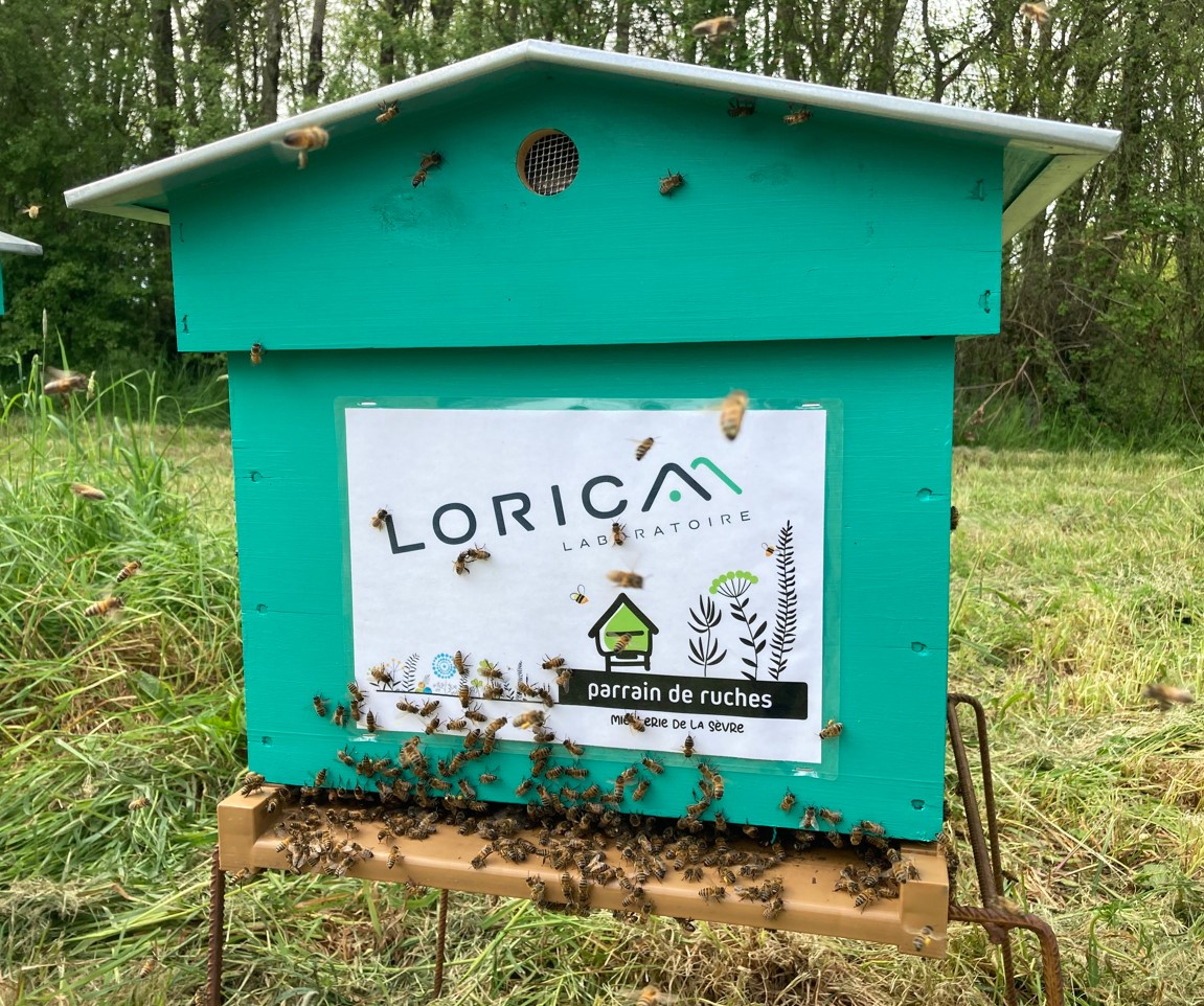 Lorica partenaire des ruches