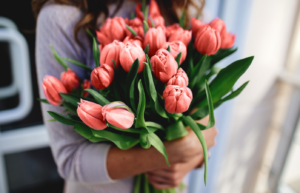 tulipes 2