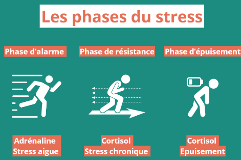 comment fonctionne le stress 2