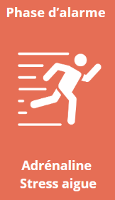 comment fonctionne le stress 3