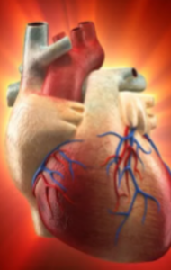 magnesium fatigue stress 2