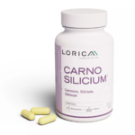 CarnoSilicium Lorica