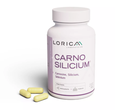 CarnoSilicium Lorica