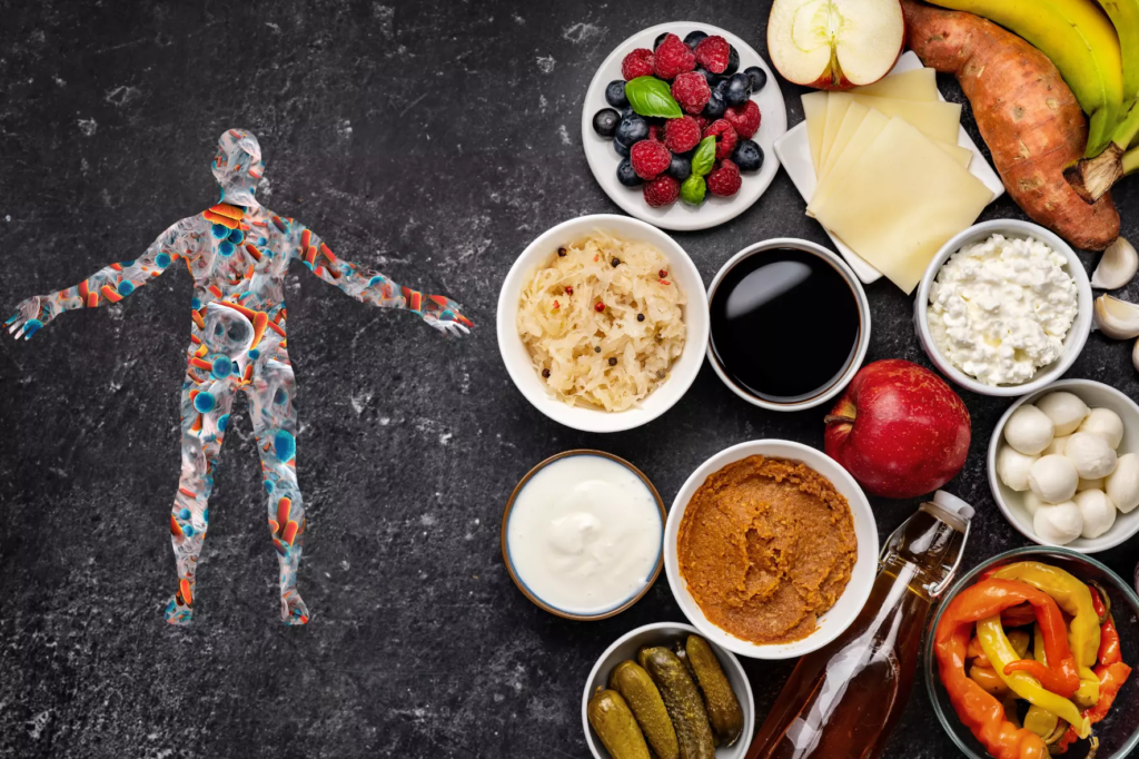 Impact de l’alimentation sur le microbiote