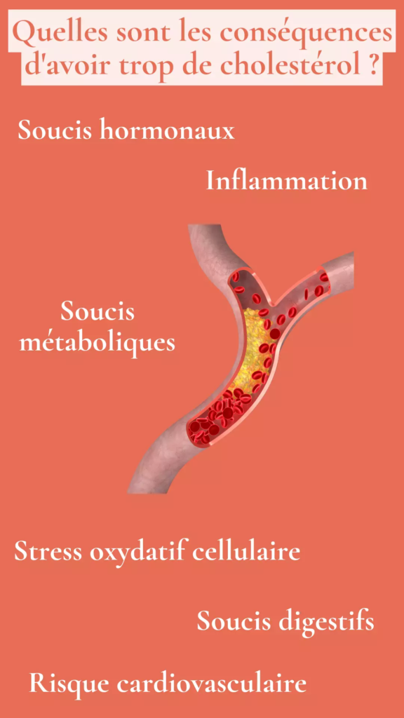 Quelles sont les conséquences d'avoir trop de cholestérol ?
