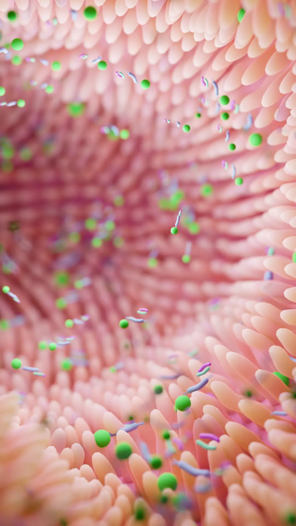 Comment faire pour avoir un bon microbiote ?