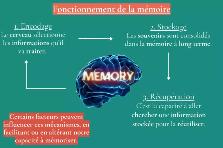 memoire