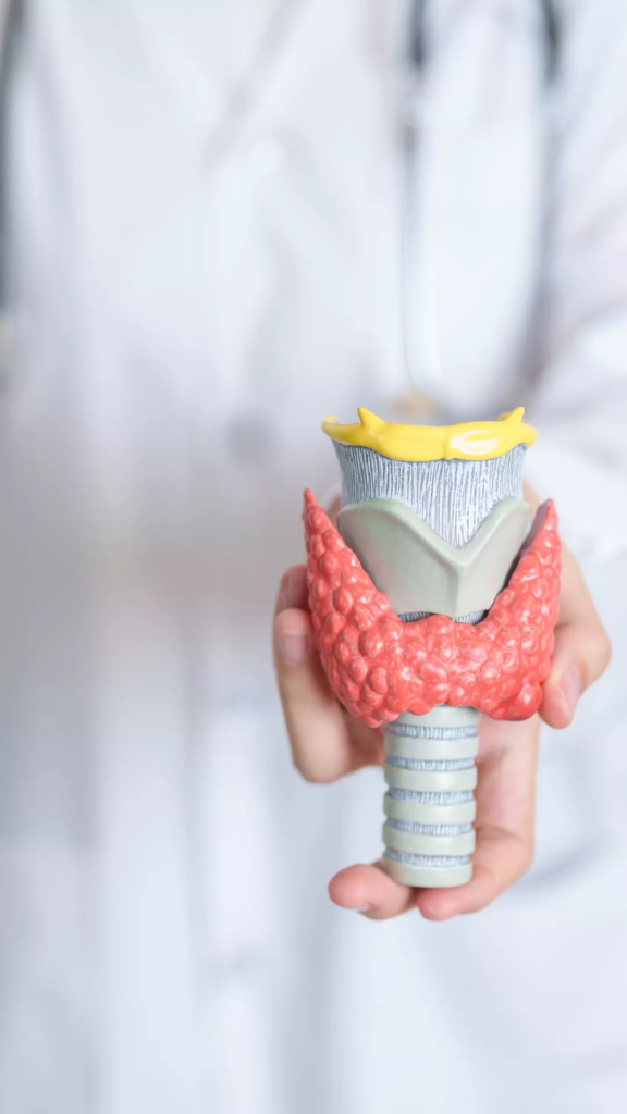 Tout le temps fatigué et envie de dormir