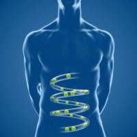 2017-05-29-Micro-nutrition—Photo-3 2017-05-29-Micro-nutrition---Photo-3