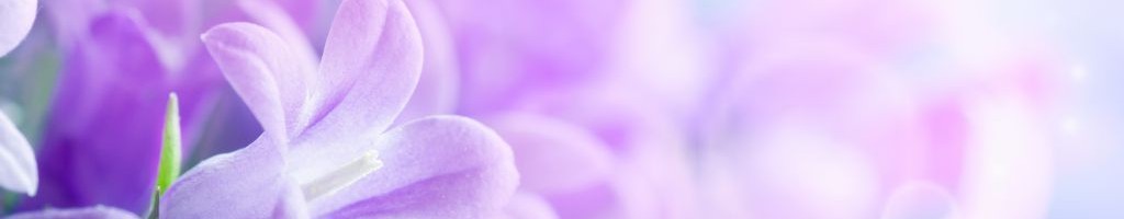 2017-05-29-Notre-philosophie---Photo-4