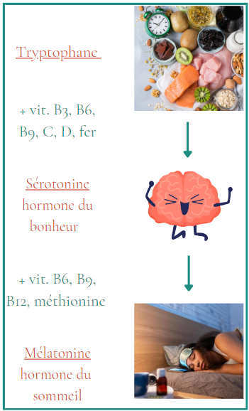 Comment s'endormir rapidement naturellement ?