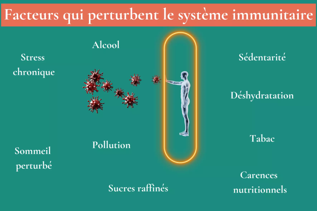 Remèdes de grand-mère pour renforcer le système immunitaire