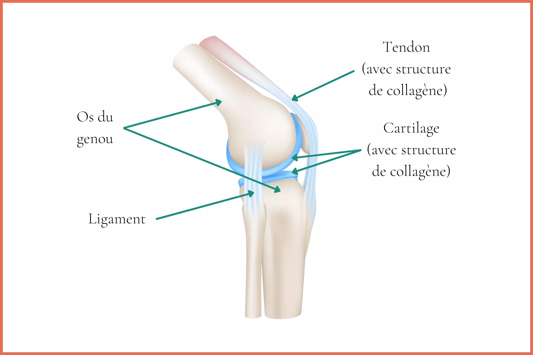 Comment soulager les douleurs articulaires du genou ?