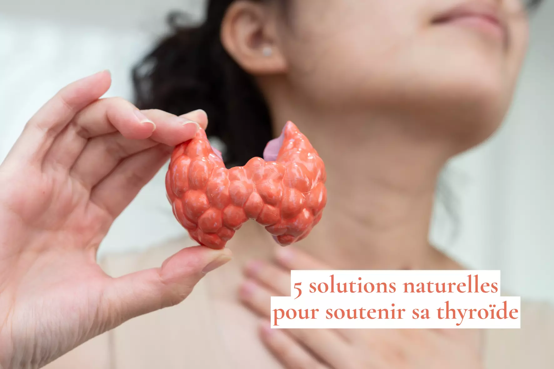 5 solutions naturelles pour soutenir sa thyroïde 1 5 Solutions naturelles pour soutenir sa thyroïde